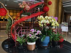 -上海浦东华美达大酒店