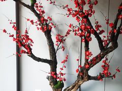 -张刚餐饮(春晓馨苑店)