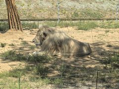 -秦皇岛野生动物园