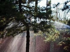 -晋祠博物馆