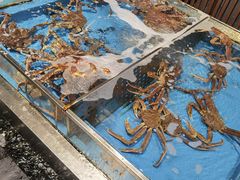 水产区-蟹将军·松叶蟹和牛日料放题自助(K11店)