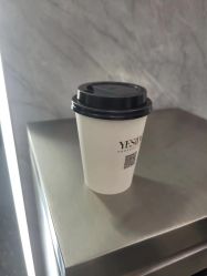 -YESIDO椰岛造型