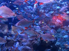 -成都浩海立方海洋公园