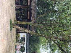 -兰亭风景区