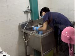 -乐琪宠物医院·犬猫专科·骨外科·急重症