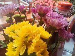 -木王宴语·野生鲜菌火锅(玉河店)