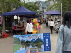 -靖西鹅泉风景区