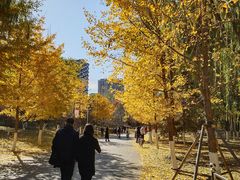 -长白岛森林公园