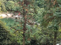 -九龙潭景区