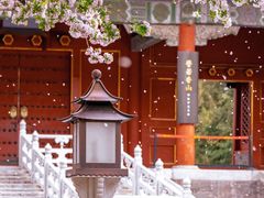 -故宫博物院(故宫)