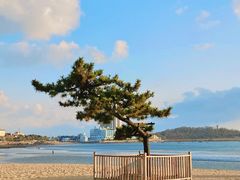 -青岛第一海水浴场