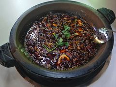 -秦巴石锅鱼(文化南路店)