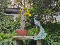 -杭州植物园