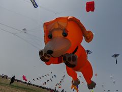 -潍坊滨海云门国际风筝放飞场
