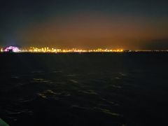 -演武大桥观景平台