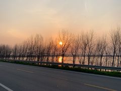 -湖南东洞庭湖国家级自然保护区