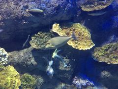 -福州罗源湾海洋世界旅游区