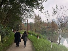 -重庆彩云湖湿地公园