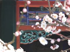 -颐和园