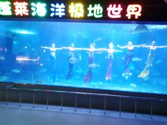 -蓬莱欧乐堡海洋极地世界