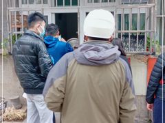 -王虎子大饼(甸柳新村五区店)