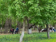 -长春公园(普阳街道)