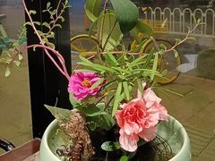 -水之惠鲜鱼料理(王府大街店)