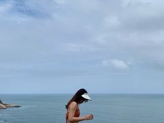 -广东惠东海龟国家级自然保护区