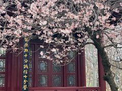 -堤角公园