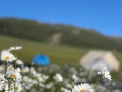 -赛里木湖风景名胜区