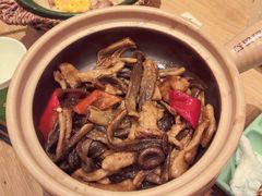 -谷田稻香·砂锅菜(西乡天虹店)