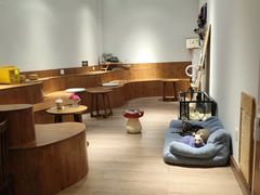 -有猫主题·治愈系猫咖(曾厝垵店)