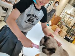 -藏猫猫咖啡主题馆(中央大道店)