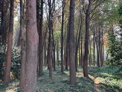 -宝界山林公园