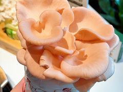 -烹然四季椰子鸡火锅(姚家园万象汇店)
