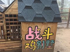 -沂蒙山旅游区云蒙景区(蒙山国家森林公园)