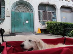 -北京赛佳动物医院