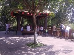 -成飞公园