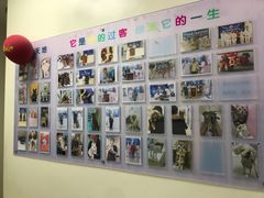 -全心全意连锁动物医院·微创中心·内科急重症·心脏专科(丰管路店)