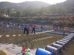 -窦王岭景区游乐场