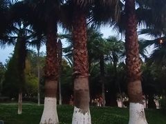 -洛龙公园