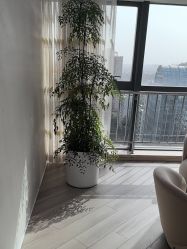 点击看大图 -HEYAN荷妍专业脱毛连锁机构