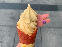 -麦当劳(石家庄北国店)