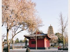 -大雁塔北广场音乐喷泉