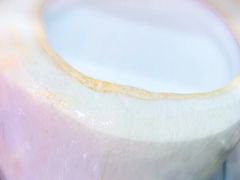 -椰子下蛋(南锣鼓巷店)