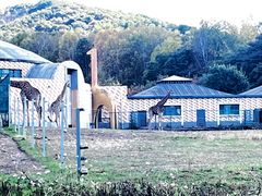 -哈尔滨北方森林动物园