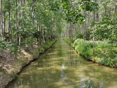 -合肥滨湖国家森林公园