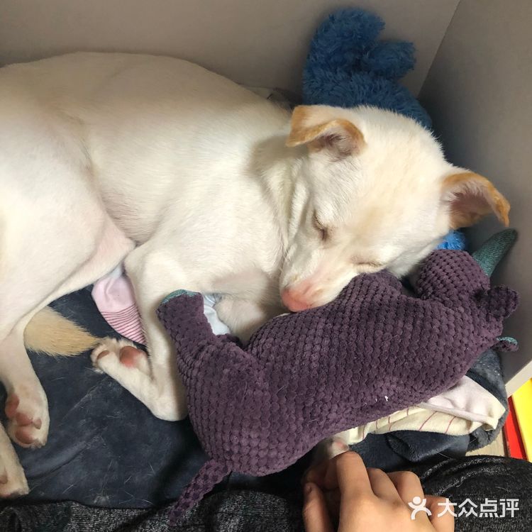 这是我曾骄傲的科目啊，我现在看的一脸懵逼…