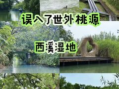 -西溪国家湿地公园