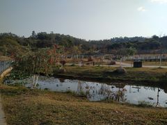 -东莞植物园